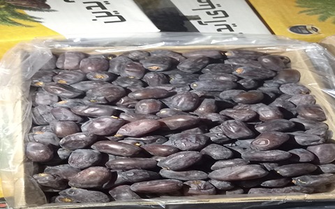 تصویر 3 از خرما مضافتی بسته بندی با طعمی تازه و نگهداری آسان